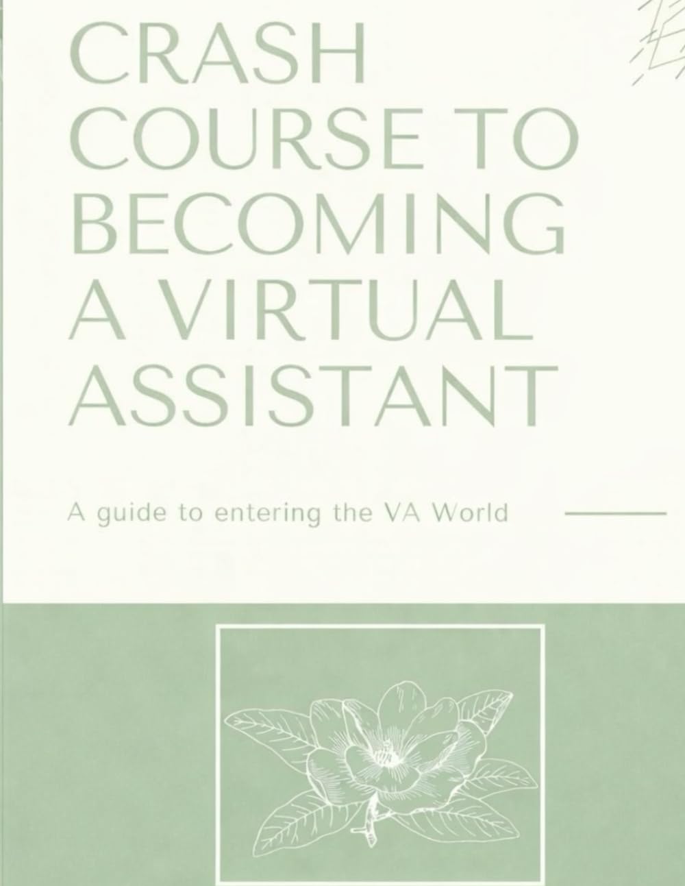 Crash Course to Becoming a Virtual Assistant: How to Start Your Own VA Business