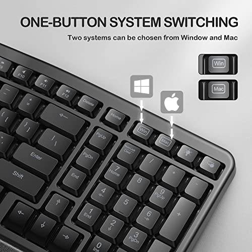 Tannsen Backlit Wired Ergonomic Keyboard Usb Split Keyboard With Wrist Rest And Comfortable Typing, 104 Keys, 10 Shortcuts For Windows, Mac And Laptop Pc Computer #TOP2