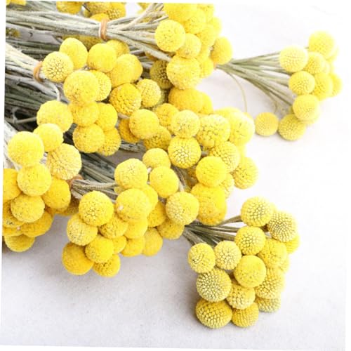Balls de Flores Secas para Decoración 30 Piezas miniatura 5