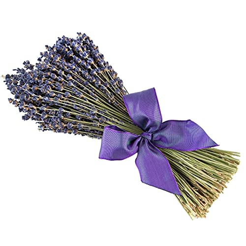 Ramo de lavanda natural Sonoma 12 pulgadas miniatura 1