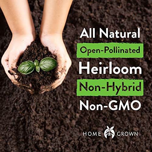 32 Vegetable Seeds - 16000+ Non Gmo, Heirloom Seeds For Home Garden Outdoors - Plant Survival Seeds Like Cabbage, Onion, Spinach, Peas, Turnip, Cucumber Seeds, Lettuce Seeds - Usa Garden Seeds #TOP2