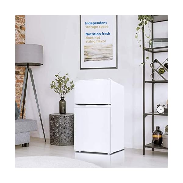 INTERGREAT Mini Fridge with Freezer, 3.2 Cu.Ft Small Refrigerator for