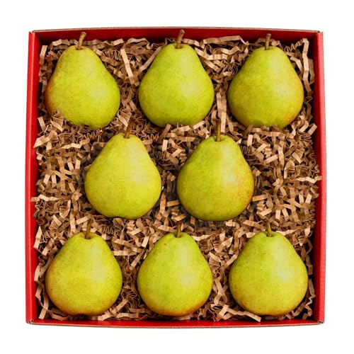 Capital City Fruit Gift Box