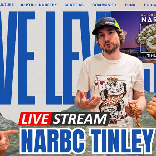 What BIG Dogs Are Here? | Live & Direct From NARBC Tinley October 2025 Podcast Por arte de portada