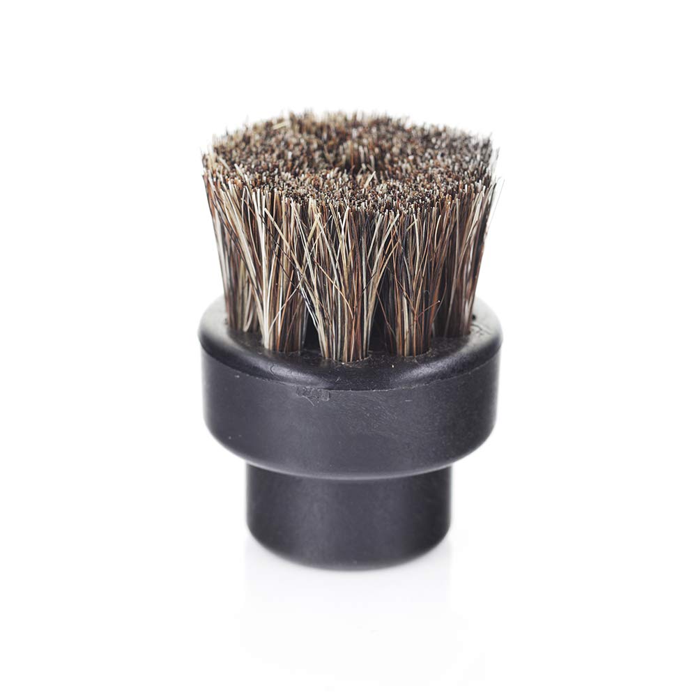 DUPRAYDUPRAY Small Horsehair Brushes (10)