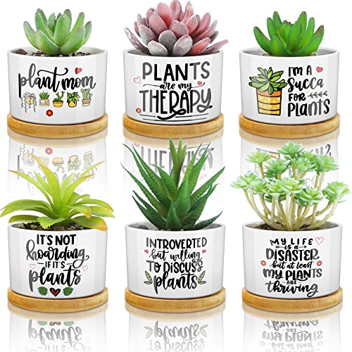 6 Pcs Funny Succulent Plant Pot Cute Christmas Teacher Gifts Box Set Plant Pot with Bamboo Tray Ceramic Funny Planter Succulent Accessories for Women Teacher Christmas Birthday Gifts (Cute Style)