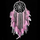 SUIBOBO Large Size Big Size Dream Catcher Handmade Traditional Pink Feather Silver Painting Silver net Wall Hanging Mordern Home Decoration (Pink-L)