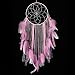 SUIBOBO Large Size Big Size Dream Catcher Handmade Traditional Pink Feather Silver Painting Silver net Wall Hanging Mordern Home Decoration (Pink-L)