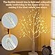 CECOMBINE Birke Lichterbaum Innen mit 144 Warmweißer LEDs Licht, LED Baum Lichter Bäumchen Dekozweige Weihnachtsdeko Hochzeit Innendekoration für Party Geburtstag Hochzeit, Festliche Partydekoration