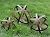 BSTGIFTS Metal Garden Spheres, Metal Band Decorative Spheres, Metal Folding Orb Garden Ball, Sets of 3