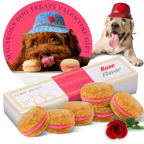 Bonne et Filou Dog Treats, Rose Cakes, Dog Birthday Gift for Medium to Large Breed – Gourmet Macaron Cakes, Healthy & Delicious Human Grade Snacks – 6 Count