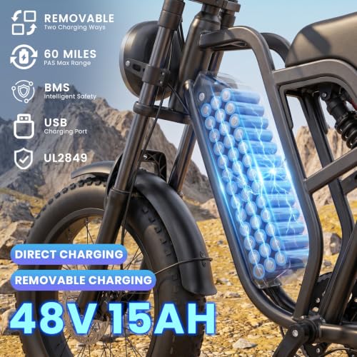 1500W Fat Tire Electric Bike