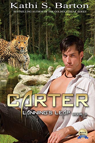 Carter view 2