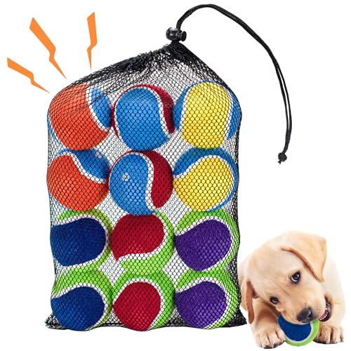 Ousiya Quietschende Tennisbälle für Hunde – 12er-Pack 6,5 cm, robuste Hundespielzeug-Bälle mit Netzbeutel für Spiel & Training im Freien