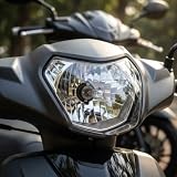 Xplorer Zamienna żarówka halogenowa H1 do motocykli i skuterów 12V 55W
