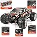 Double E RC Cars 4WD High Speed 20 Km/h, 2.4Ghz 1:18 Scale All Terrains Off Road Monster Truck with LED Headlight and Rechargeable Batteries for Kids Boys and Adults