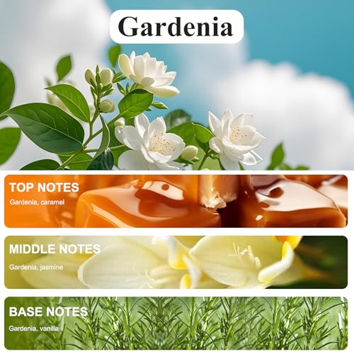 Image of Smart Car Air Freshener Refill, 100 ML Car Diffuser Perfume, Lasts 4-6 months, Made with Natural Plant Extracts, French Imported Fragrance - Gardenia