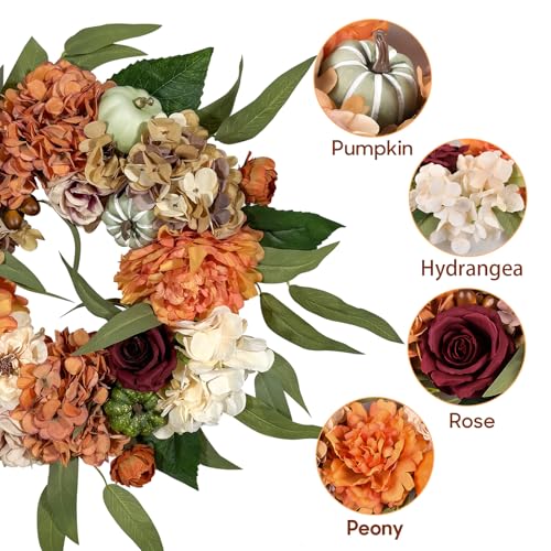 Beinhome-Fall-Wreath-for-Front-Door-16-Inch-Artificial-Autumn-Hydrangea-Pumpkin-Peony-Wreath-for-Party-Farmhouse-Wedding-Home-Porch-Window-Decoration-Indoor-Outdoor-Decor Beinhome Fall Wreath for Front Door 16 Inch Artificial Autumn Hydrangea Pumpkin Peony Wreath for Party Farmhouse Wedding Home Porch Window Decoration Indoor Outdoor Decor