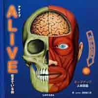ヴィンテージ飛び出す絵本　人間の体　The Human Body ヴィンテージ飛び出す絵本 人間の体 The Human Body THE HUMAN