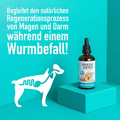 Wurmkur für Hunde und Katzen – Green Hero Wurmix Liquid 100 ml