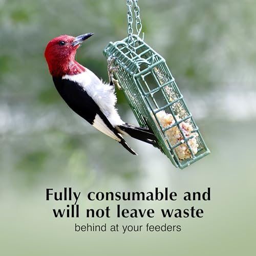 Image of C&S Woodpecker Delight No Melt Suet Dough, Suet Cakes for Wild Birds Including Woodpeckers, Flickers and More, 11.75 Ounces, Pack of 8