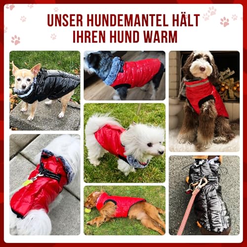 Eyein Wasserdichter Hundemantel mit Geschirr, Fleece Rollkragen Warme Hundewinterjacke mit doppeltem Reißverschluss, reflektierende Hundeschneejacke für kleine mittlere große Hunde, Schwarz, M