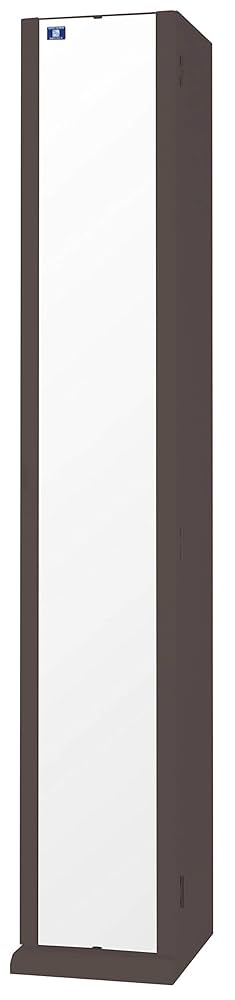 Amazon.co.jp: 塩川光明堂 ミラー ダークブラウン 29×33×170cm