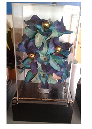 NFW Wooden base 4 x 3 with acrylic box 11 inches