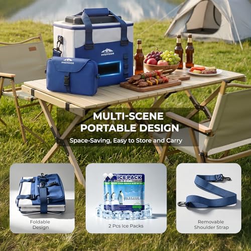 INSMEER 20L Electric Cooler