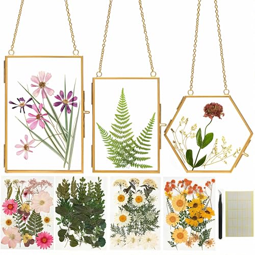 Relaxing Garden Pressed Flower Craft Kit for Adults & Women, DIY Floating Double Glass Frame Kit with Real Dried Flowers, Handmade Gift Art Project for Home Décor, Keepsake & Creative Crafts