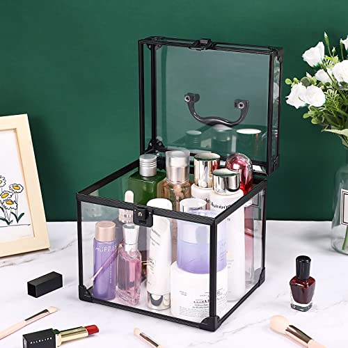 Noverlife Portable Cosmetics & Toiletry Organizer Box, Clear Train Case With Latches & Handle Travel Makeup Tools Storage Organizer, Professional Makeup Tools Box Bathroom Accessories Case For Girls #TOP7