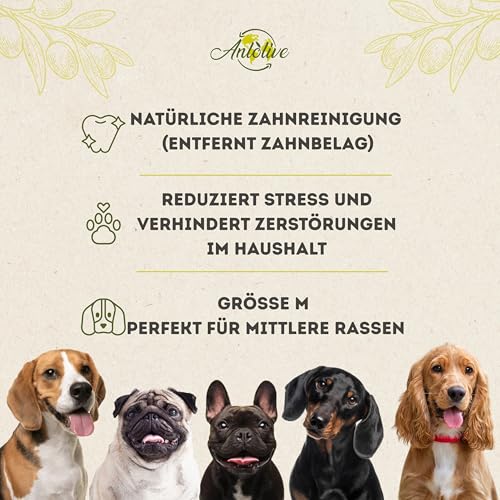 Anlolive | Pack 3 Natürliche Kausticks Größe M 18-20 cm | Für Mittelgroße Hunde | Olivenholz-Stick | Sicheres, Gesundes und Langlebiges Spielzeug | Zahnpflege und Angstbewältigung