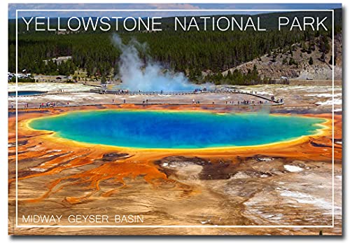 Imán Refrigerador Yellowstone Geyser Basin 2.5x3.5 pulgadas