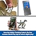 Mattel Jurassic World Chaos Theory Gigantic Trackers Styxosaurus Dinosaur Figure, Large Species Toy, Head Attack, Chomp & Paddle Motion, Digital Play