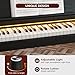 UMOMO UM-725 88 Key Weighted Digital Piano with Adjustable Light, 88 Key Progressive Hammer-action Keyboard Piano for Beginners with MIDI, Black
