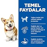 Hill's Small and Miniature Adult Hundefutter 3 kg, 1 x 3 kg