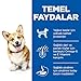 Hill's Small and Miniature Adult Hundefutter 3 kg, 1 x 3 kg