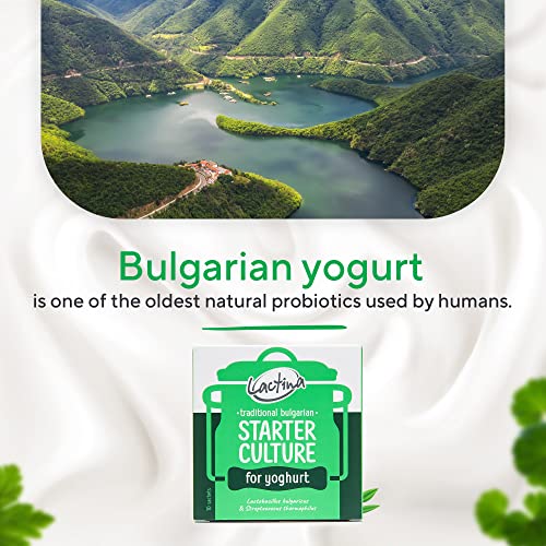 Lactina LACTINA1 Bulgarian Yogurt Starter Culture Natural Probiotic Yogurt Culture Starter Homemade Yoghurt Starter 10 Liters Lactobacillus Bulgaricus thumb #6