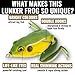 Lunkerhunt - Lunker Frog Fishing Lure with Swimming Legs (Bull Frog) Great for Bass and Pike Fishing, Freshwater Lure with Hollow Body, Mischief Minnow Lure