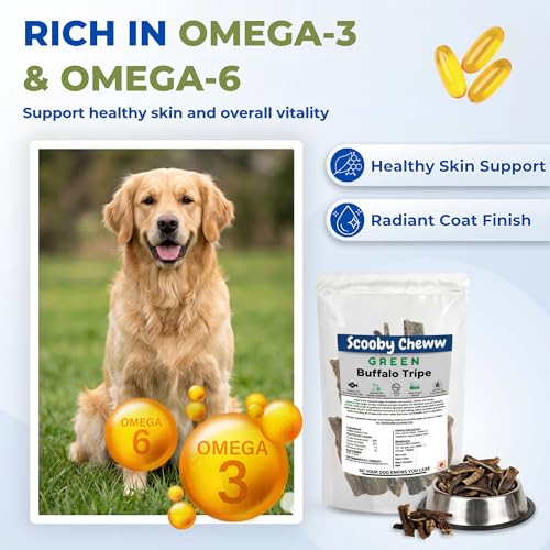 Image of Buffalo Tripe Dog Treats 100g - Dry Green Dehydrated Chews, High Protein, Rawhide Free, Omega 3 & 6 for Healthy Skin & Coat, Natural Chew for Small, Medium & Large Dogs