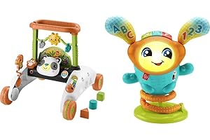 Fisher-Price 2-Sided Steady Speed Panda Walker and DJ Bouncin' Beats
