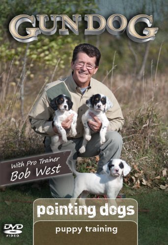 Gun Dog Puppy Training: Pointing Dogs DVD
