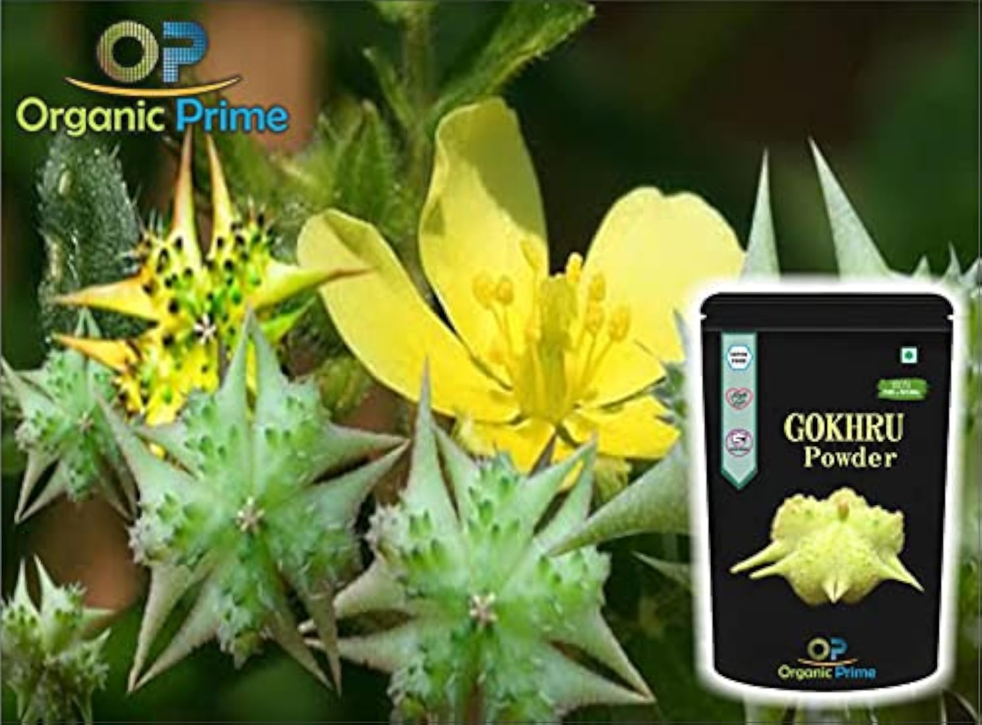 Organic Prime Pack of 5 Herbal Powders