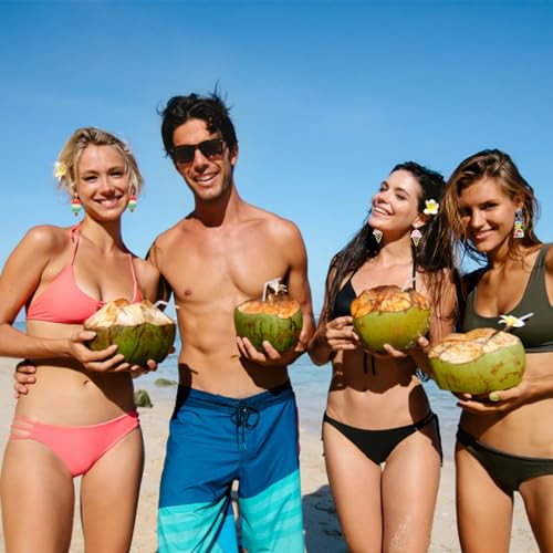 Summer Earrings Hawaiian Beach Earrings Ice Cream Cone Earrings Hello Summer Popsicle Dangle Earrings Super Cute Beach Pendant Earrings Summer Decoration Beach Party Jewelry Gifts 5