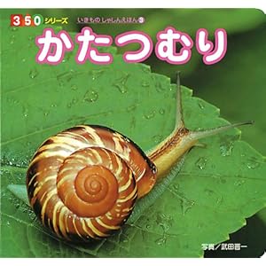 かたつむり (350シリーズいきものしゃしんえほん 3)