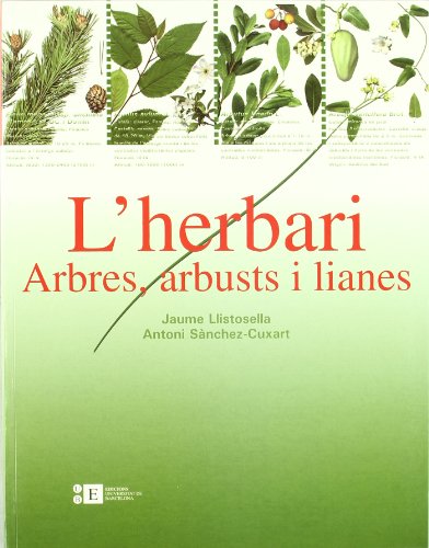Herbari: Arbres, Arbusts I Liane: 41 (BIBLIOTECA UNIVERSITÀRIA) Herbari: Arbres, Arbusts I Liane: 41 (BIBLIOTECA UNIVERSITÀRIA)