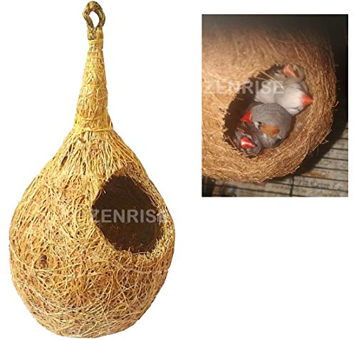 Nest - Parent Nest - Parent