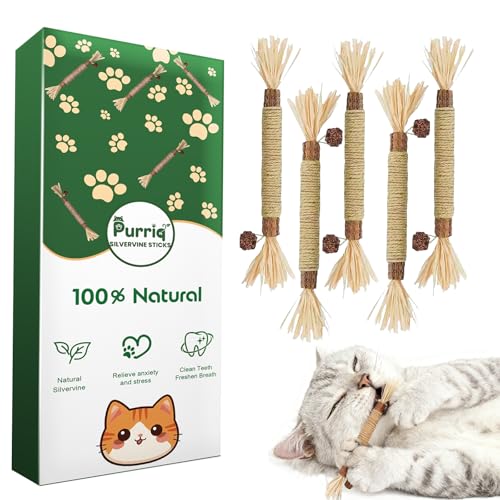 Purriq Natural Silvervine Dental Sticks Natural Silvervine Sticks for Cats Cleaning Dental Scratch and Bite Resistant Calm Cat Boring for Indoor Kitty Interactive Kitten Chew Playthings (5Pcs)
