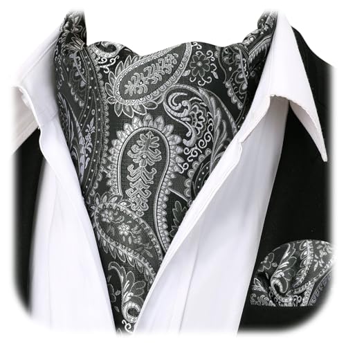 Image of HISDERN Ascot Ties for Men Paisley Floral Ascot and Pocket Square Set Classic Self Tie Mens Cravat Handkerchief for Wedding