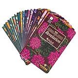 Mr. Pen Selah New Testament Journal Set, 19 Books, NLT Translation, Gift for Women, Bible Journaling, Softcover with Notes Space, Filament App Compatible